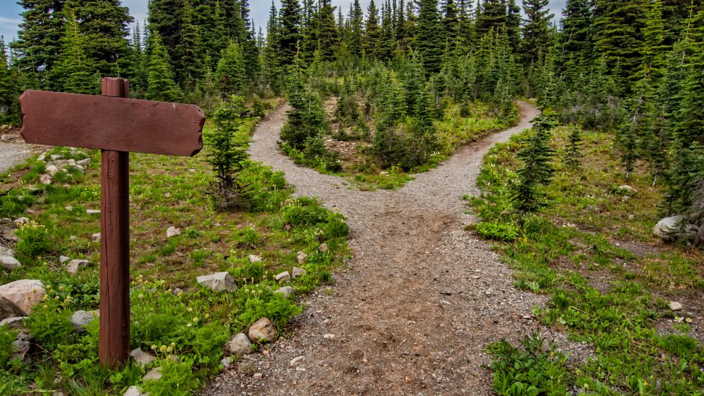 two paths for market volatility