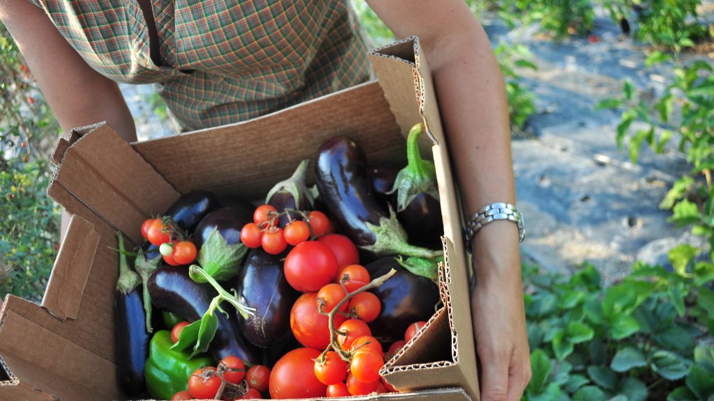 Investment Farming for Asset Class Results